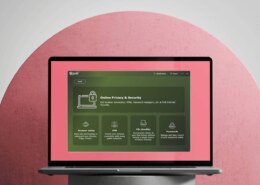 Why You Need Priil Password Manager in 2025
